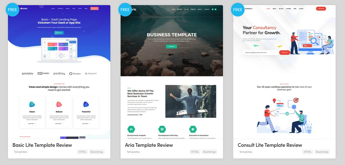 Plantilla web